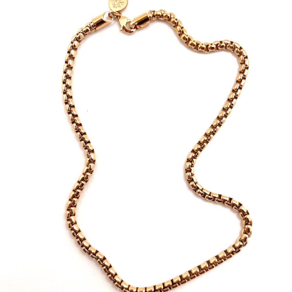 Karli Buxton - Rounded Box Chain: 20"